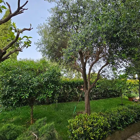Apartment Zita - Heart Of Rovinj, For 2, Free Parking, 2min Center, 5min Walk